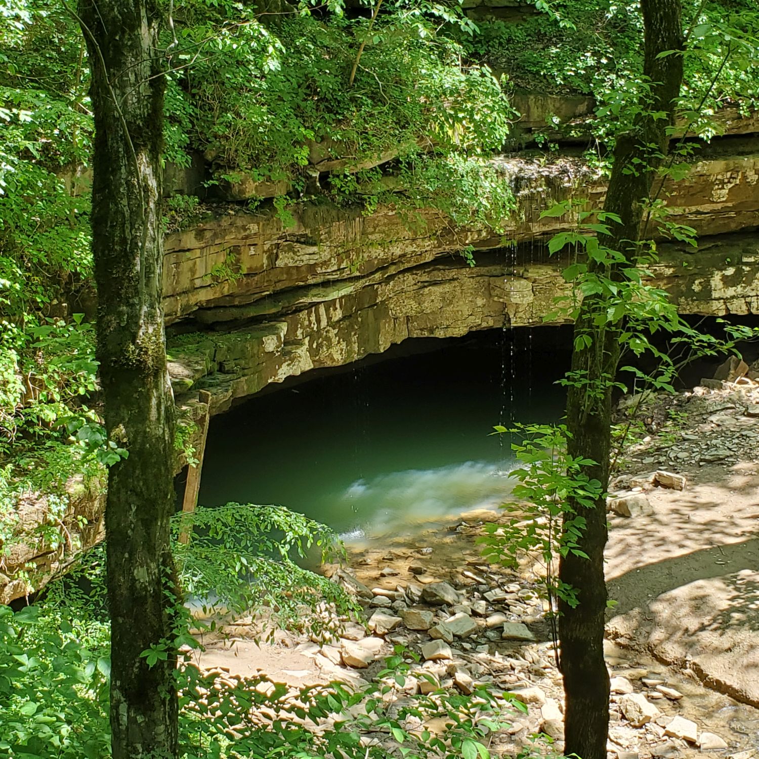 Mammouth Cave National Park Hike 